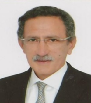 محمد طارق زكريا محمد توفيق