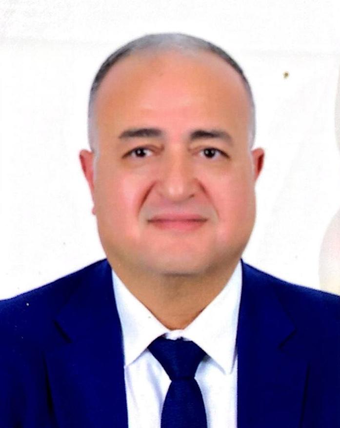 محمود محمد سرج